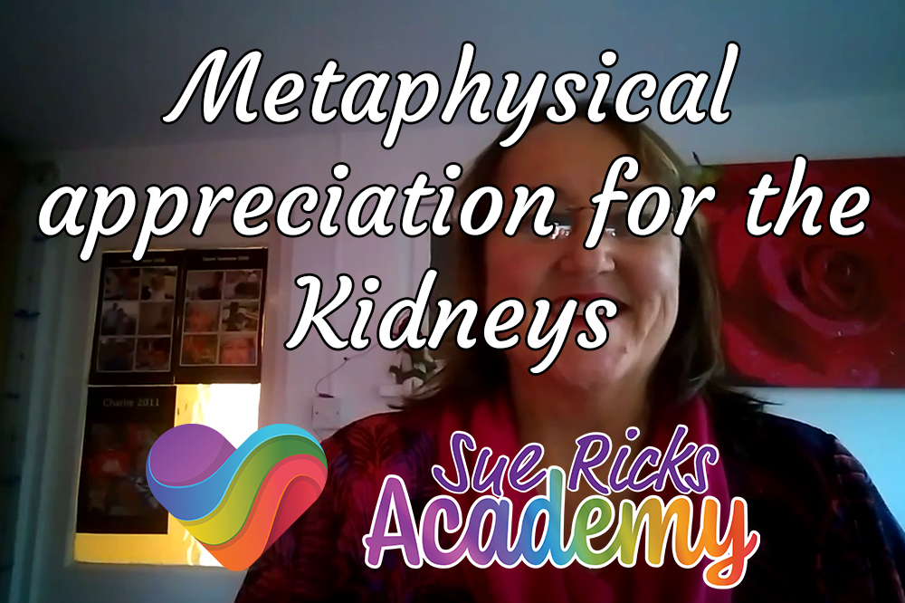 Metaphysical appreciation for the Kidneys 